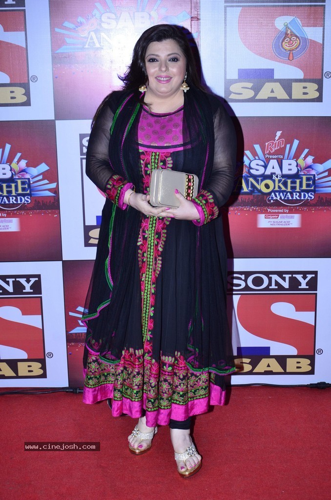Bolly n TV Celebs at SAB Ke Anokhe Awards 2014 - 75 / 102 photos