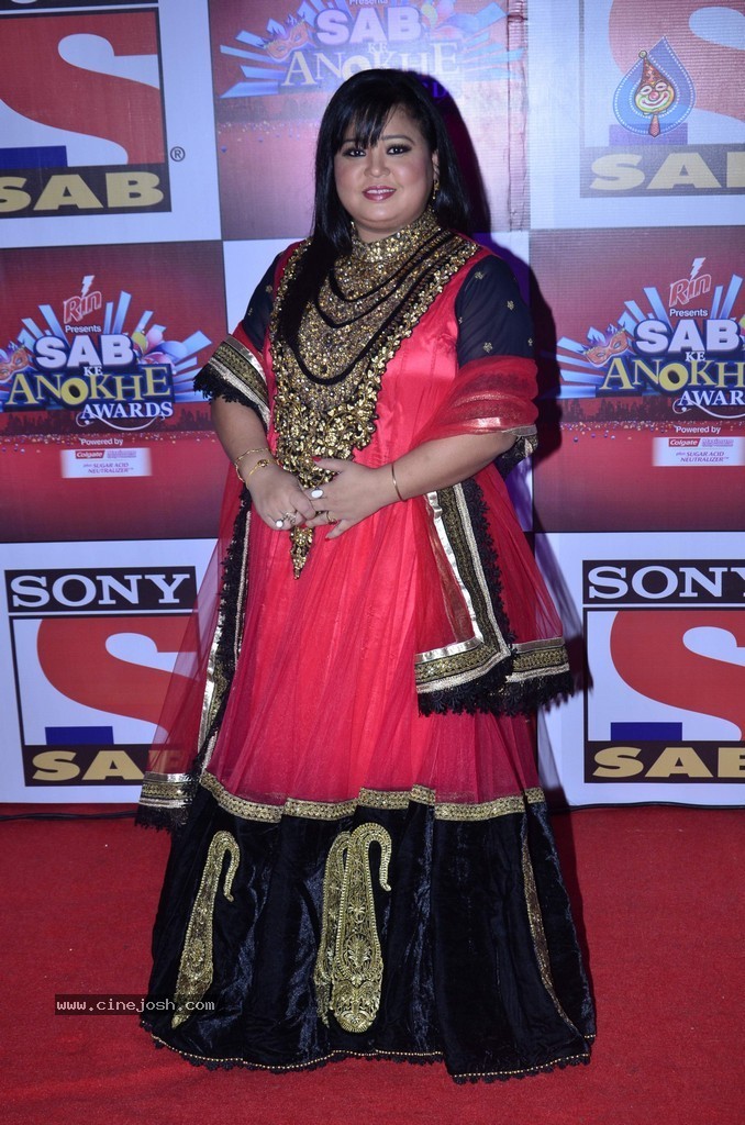 Bolly n TV Celebs at SAB Ke Anokhe Awards 2014 - 83 / 102 photos