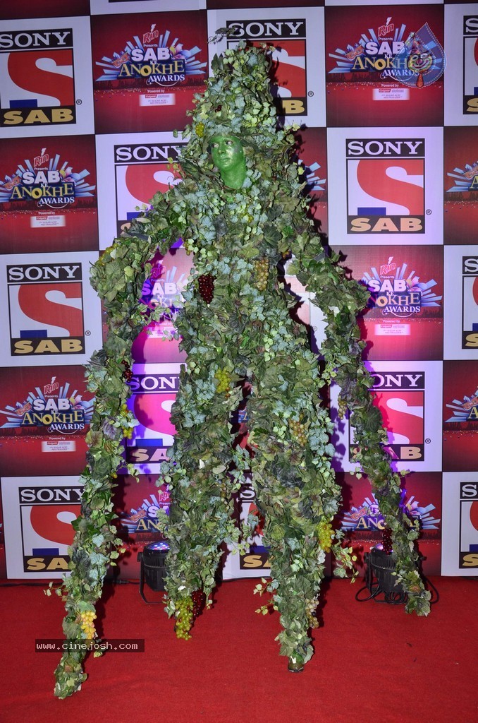 Bolly n TV Celebs at SAB Ke Anokhe Awards 2014 - 91 / 102 photos