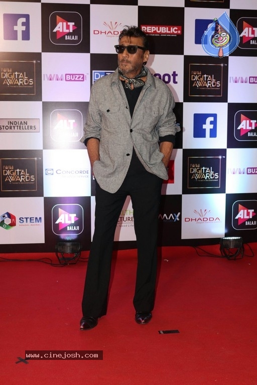 Bollywood Celebrities at Digital Awards Function - 48 / 51 photos