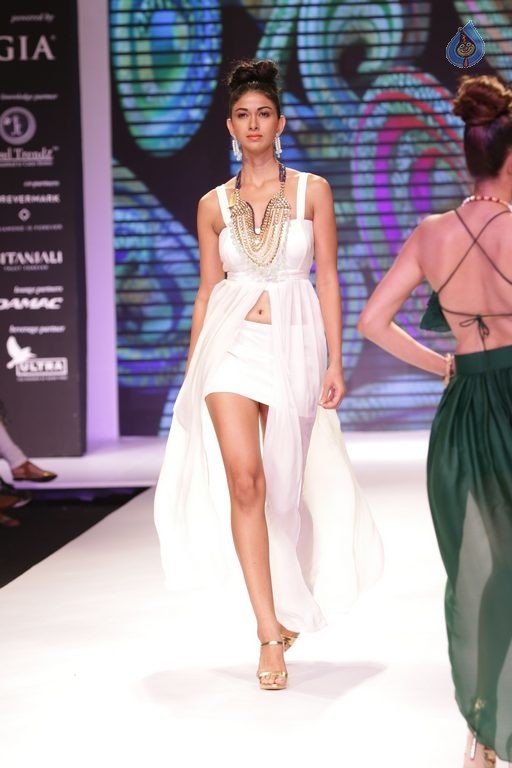 Bollywood Celebrities at IIJW 2015 Show - 42 / 90 photos