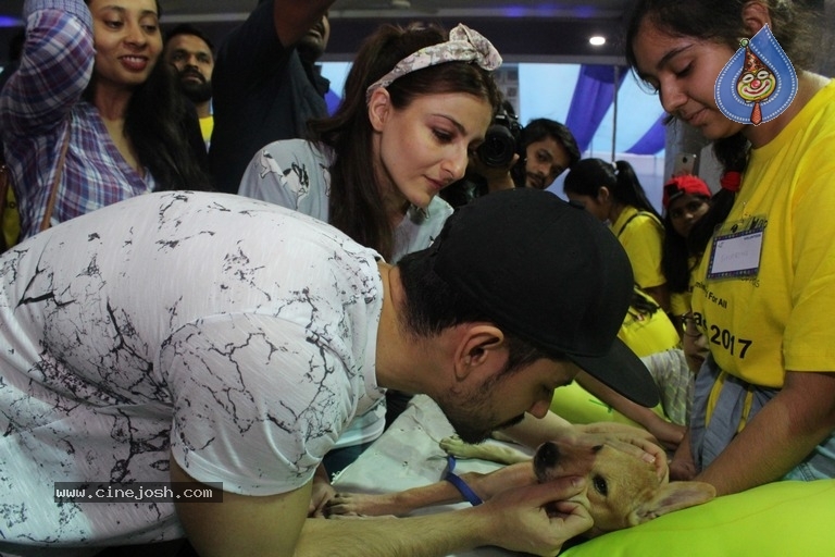Bollywood Celebrities At Pet Adoptathon 2017 - 11 / 12 photos