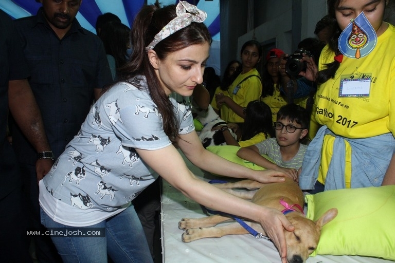 Bollywood Celebrities At Pet Adoptathon 2017 - 12 / 12 photos