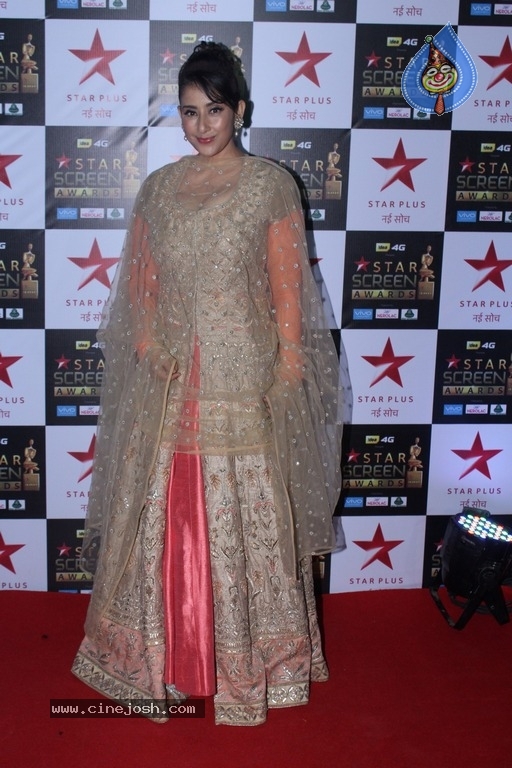 Bollywood Celebrities At Star Screen Awards 2017 - 9 / 33 photos