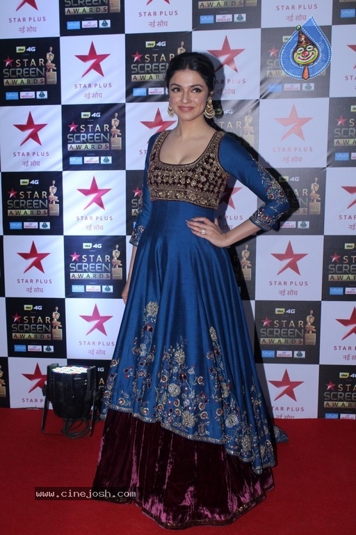 Bollywood Celebrities At Star Screen Awards 2017 - 20 / 33 photos