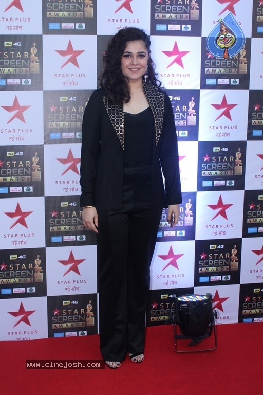 Bollywood Celebrities At Star Screen Awards 2017 - 30 / 33 photos
