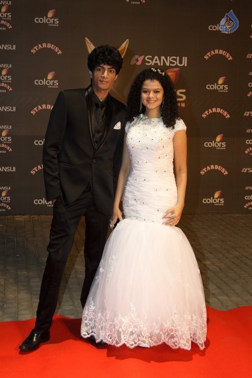 Bollywood Celebrities at Stardust Awards 1 - 17 / 58 photos