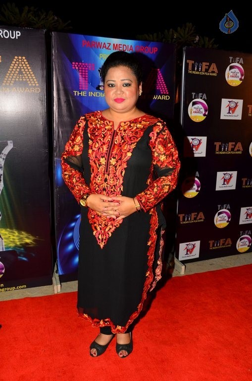 Bollywood Celebrities at TIIFA Awards 2015 - 21 / 63 photos