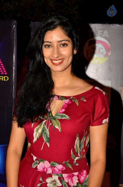 Bollywood Celebrities at TIIFA Awards 2015 - 22 / 63 photos