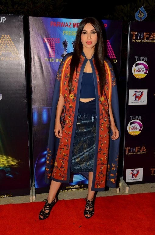 Bollywood Celebrities at TIIFA Awards 2015 - 30 / 63 photos