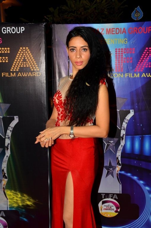 Bollywood Celebrities at TIIFA Awards 2015 - 34 / 63 photos