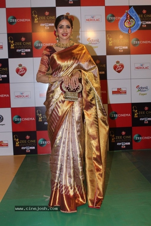 Bollywood Celebrities at Zee Cine Awards 2018 Set 1 - 28 / 63 photos