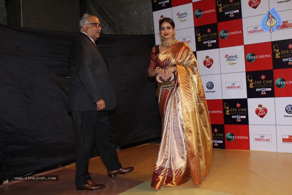 Bollywood Celebrities at Zee Cine Awards 2018 Set 2 - 56 / 63 photos