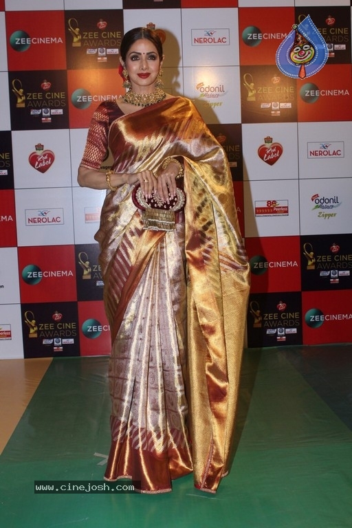 Bollywood Celebrities at Zee Cine Awards 2018 Set 2 - 60 / 63 photos