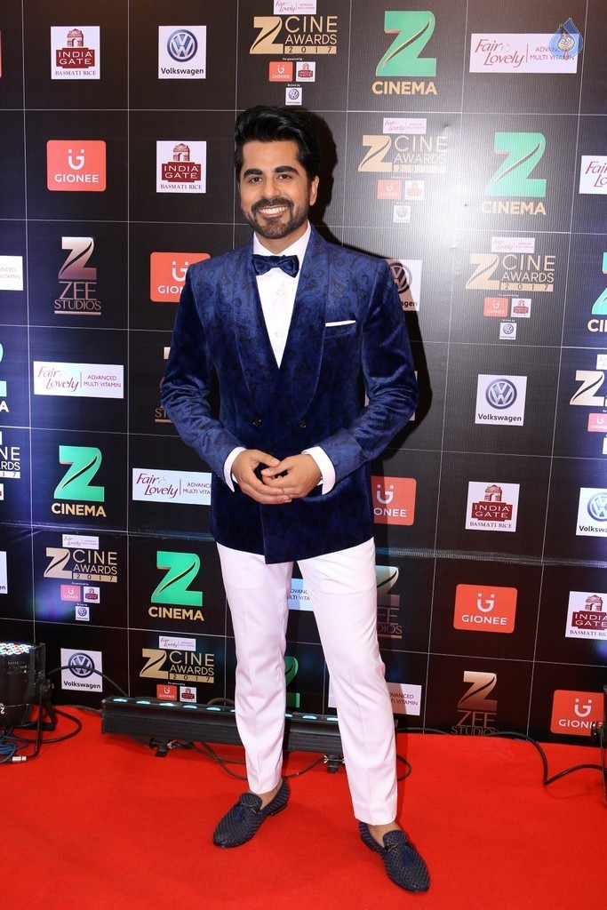 Bollywood Celebrities at Zee Cine Awards Red Carpet - 4 / 92 photos
