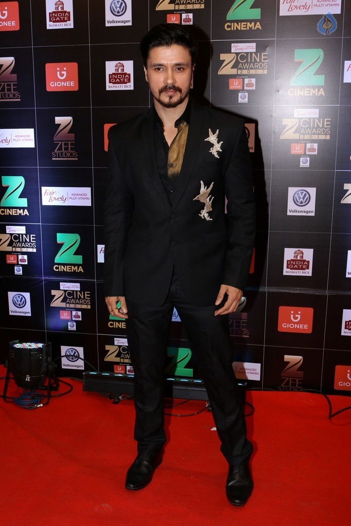 Bollywood Celebrities at Zee Cine Awards Red Carpet - 14 / 92 photos