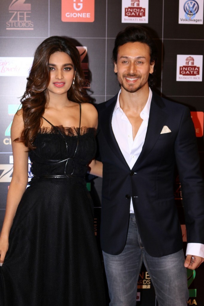 Bollywood Celebrities at Zee Cine Awards Red Carpet - 20 / 92 photos