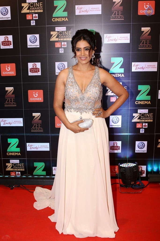 Bollywood Celebrities at Zee Cine Awards Red Carpet - 27 / 92 photos