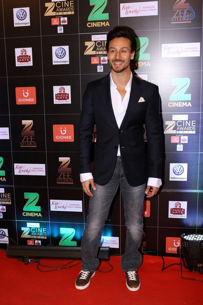 Bollywood Celebrities at Zee Cine Awards Red Carpet - 33 / 92 photos