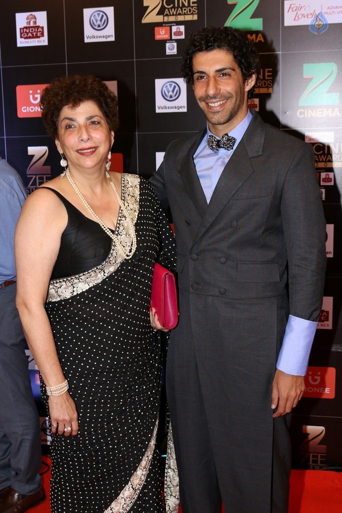 Bollywood Celebrities at Zee Cine Awards Red Carpet - 53 / 92 photos