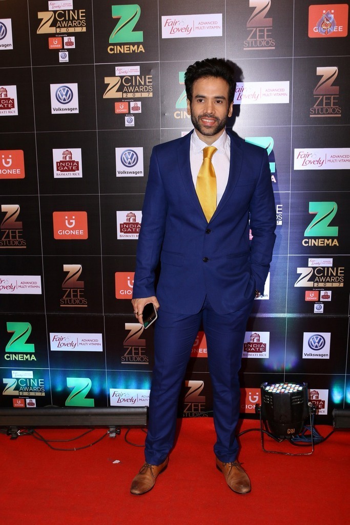 Bollywood Celebrities at Zee Cine Awards Red Carpet - 55 / 92 photos