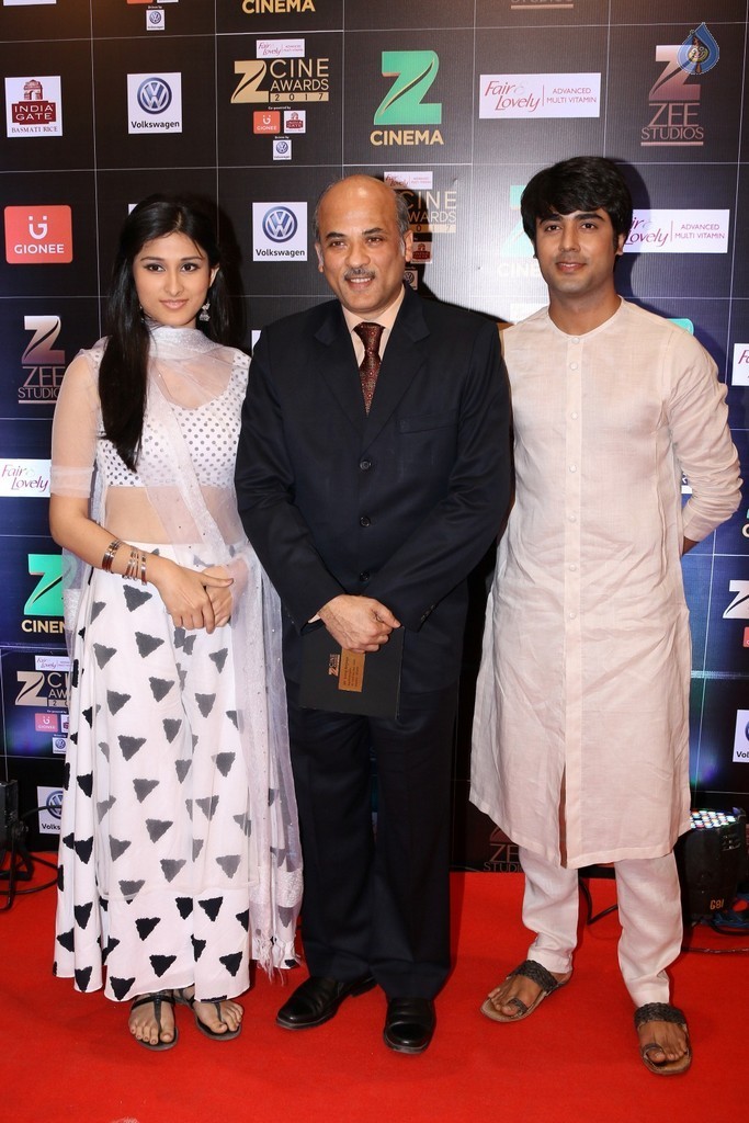 Bollywood Celebrities at Zee Cine Awards Red Carpet - 61 / 92 photos