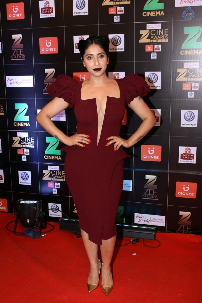 Bollywood Celebrities at Zee Cine Awards Red Carpet - 63 / 92 photos