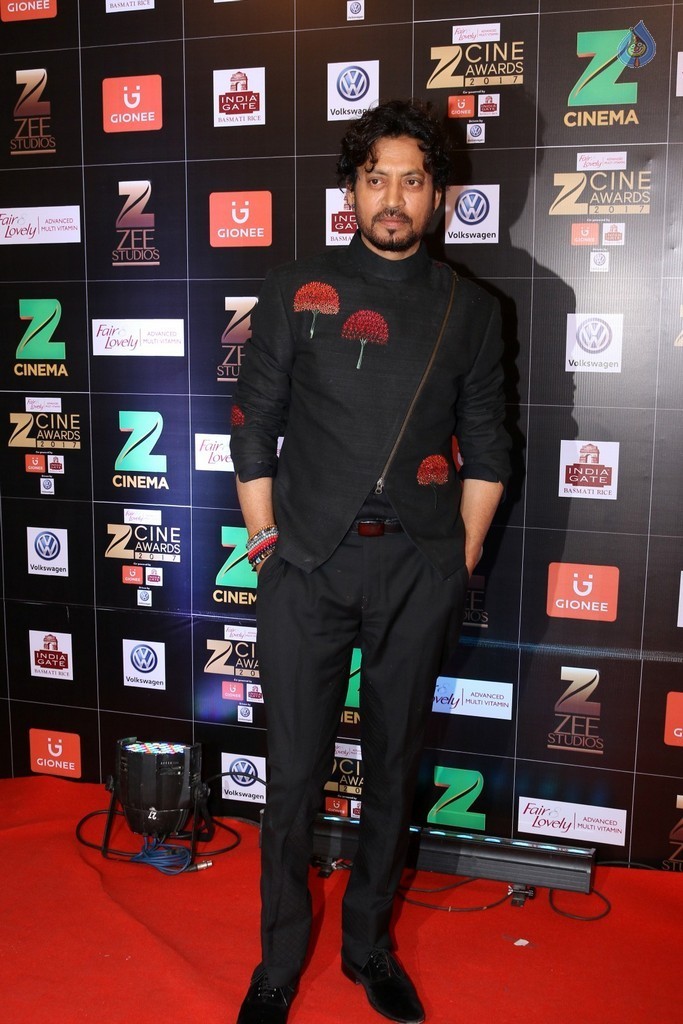 Bollywood Celebrities at Zee Cine Awards Red Carpet - 65 / 92 photos