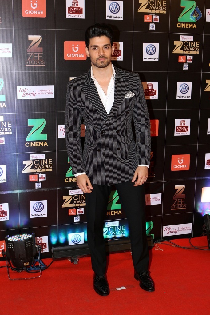 Bollywood Celebrities at Zee Cine Awards Red Carpet - 66 / 92 photos