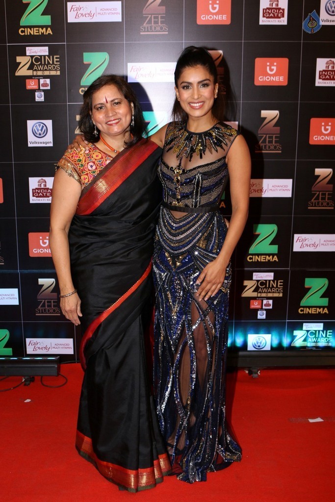 Bollywood Celebrities at Zee Cine Awards Red Carpet - 84 / 92 photos