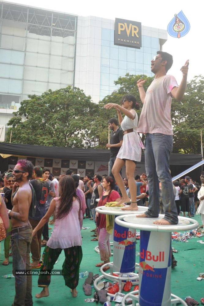 Bollywood Celebrities Celebrates Holi - 111 / 178 photos