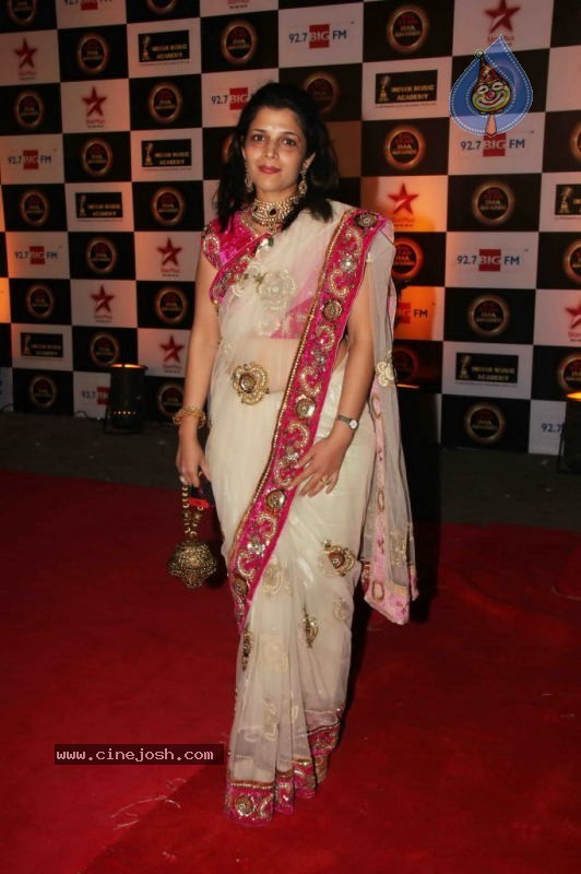 Bollywood Stars at Big IMA Awards - 46 / 96 photos
