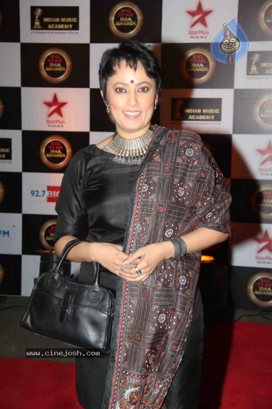 Bollywood Stars at Big IMA Awards - 59 / 96 photos