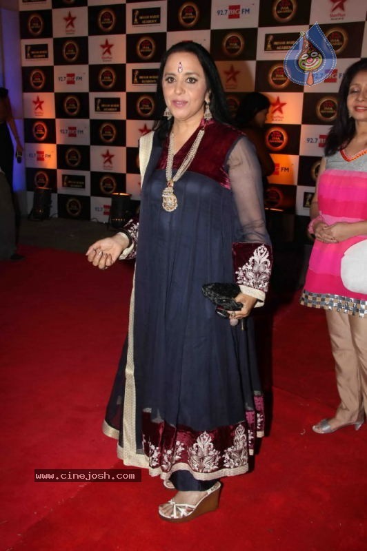 Bollywood Stars at Big IMA Awards - 63 / 96 photos