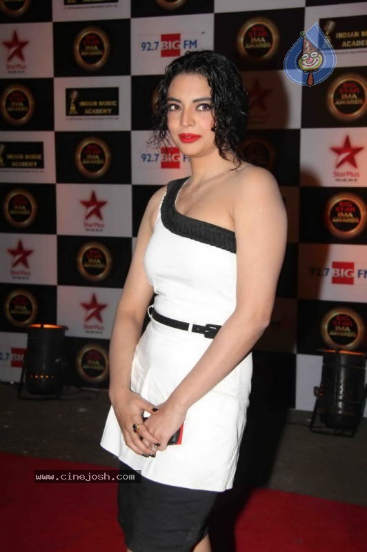 Bollywood Stars at Big IMA Awards - 92 / 96 photos