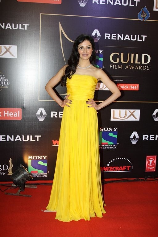 Bollywood Stars at Guild Film Awards 2015 - 9 / 42 photos