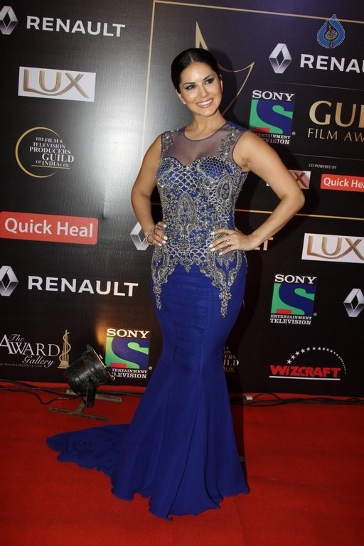 Bollywood Stars at Guild Film Awards 2015 - 37 / 42 photos