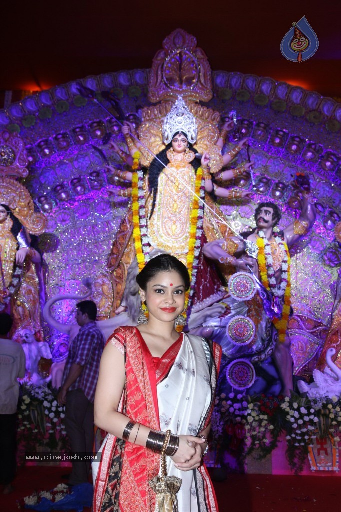 Bollywood Stars at Navarathri Celebrations - 66 / 79 photos