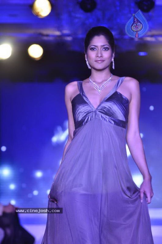 Bollywood Top Models at Rose Fashion Show - 7 / 154 photos
