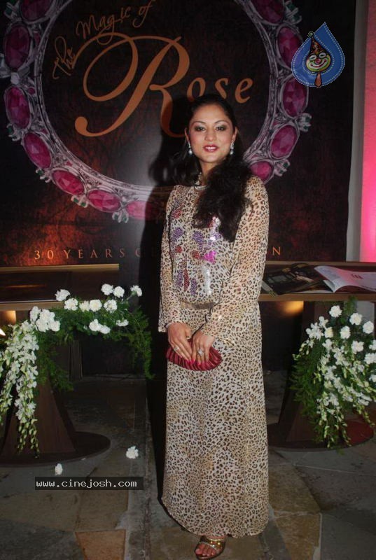 Bollywood Top Models at Rose Fashion Show - 9 / 154 photos