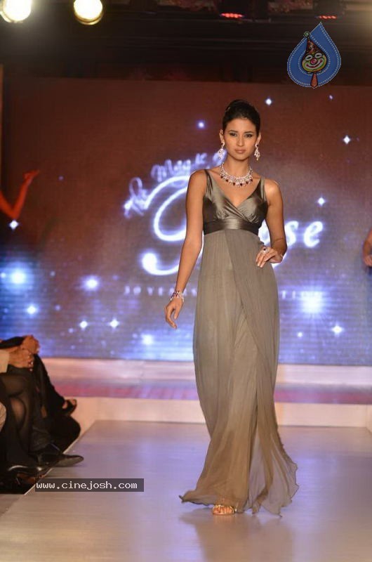 Bollywood Top Models at Rose Fashion Show - 13 / 154 photos
