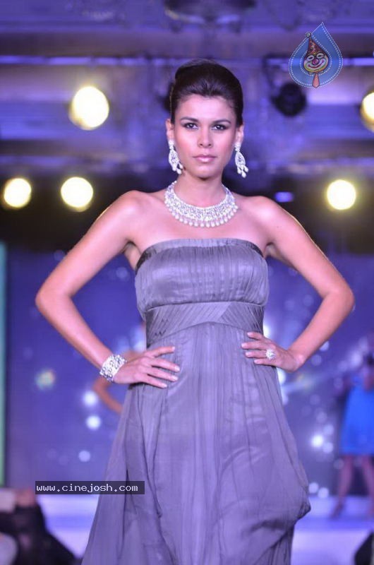Bollywood Top Models at Rose Fashion Show - 47 / 154 photos