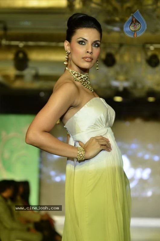 Bollywood Top Models at Rose Fashion Show - 85 / 154 photos