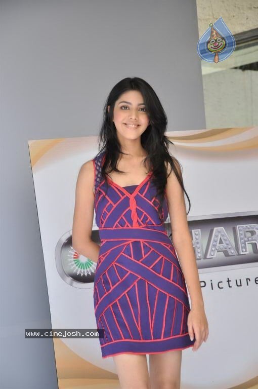 Born Free Entertainment Press Meet - 21 / 41 photos