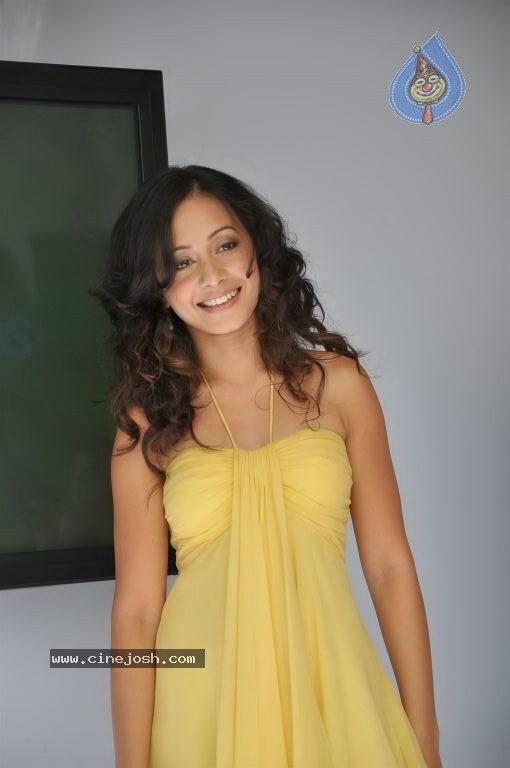 Born Free Entertainment Press Meet - 37 / 41 photos