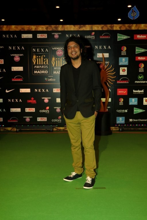 Celebrities at 17th Nexa IIFA Awards - 19 / 81 photos