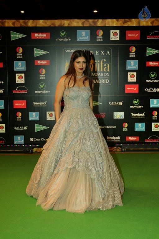 Celebrities at 17th Nexa IIFA Awards - 33 / 81 photos