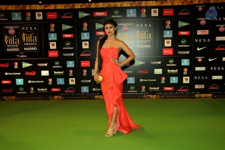 Celebrities at 17th Nexa IIFA Awards - 46 / 81 photos