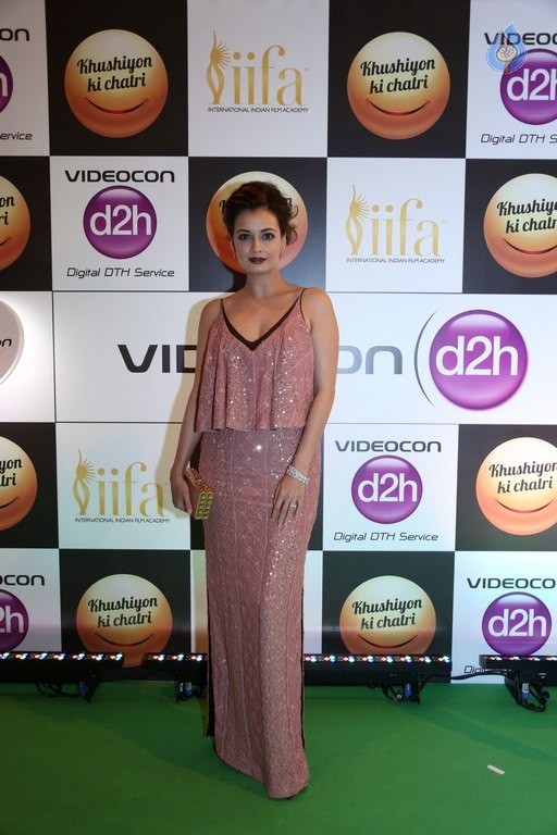 Celebrities at 17th Nexa IIFA Awards - 66 / 81 photos