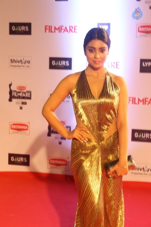 Celebrities at Filmfare 2016 Awards 1 - 28 / 84 photos